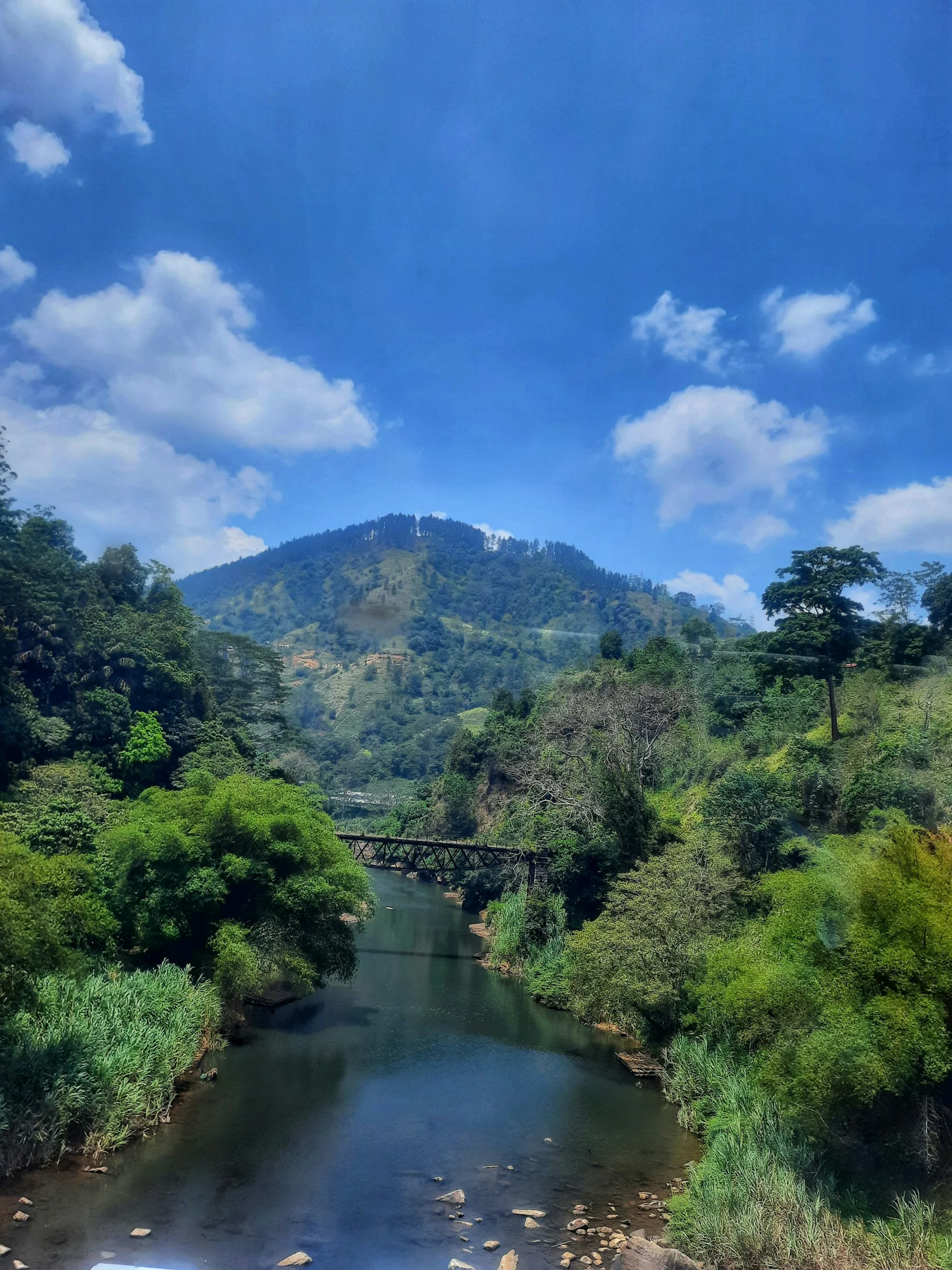 Deniyaya, Rainforest, Sri Lanka