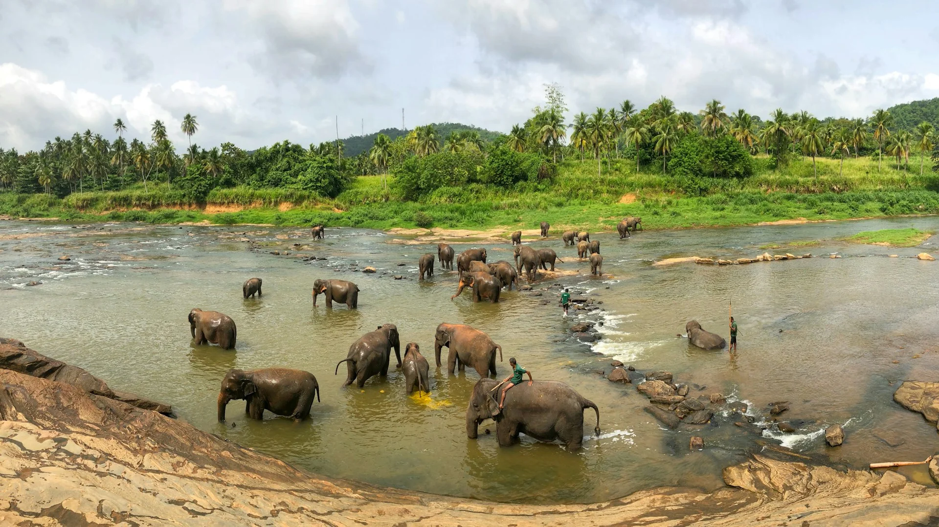 Pinnawala Elephant Orphanage in Sri Lanka — with Colombo Taxi Airport