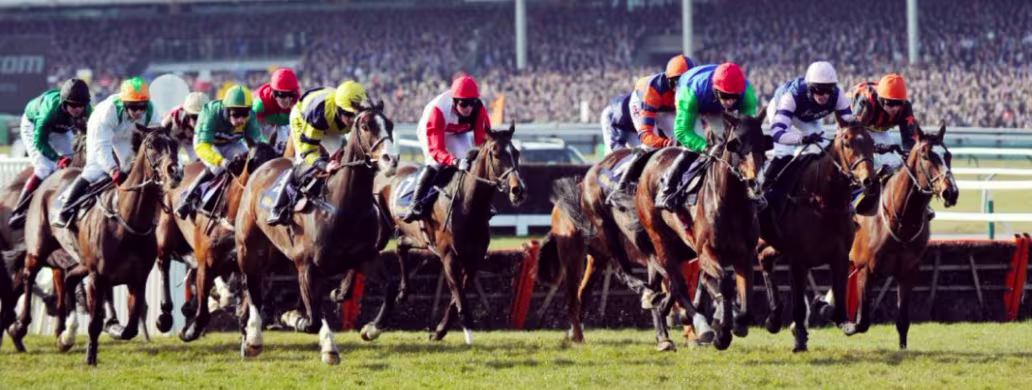 Cheltenham Festival hospitality