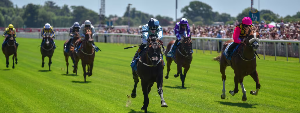 York Racecourse