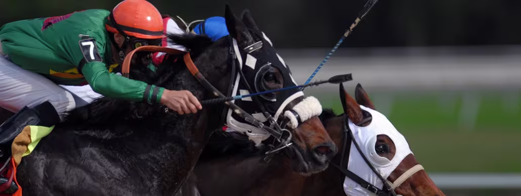 Horse Racing