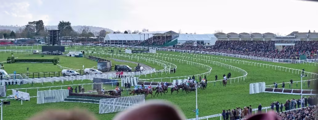 Horse Racing at Cheltenham
