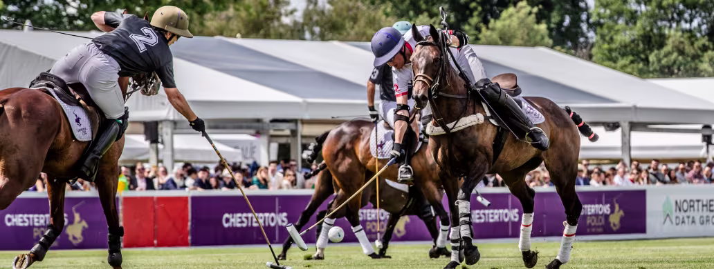 Chestertons Polo in The Park