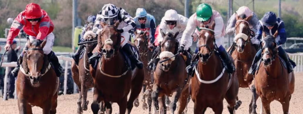 Tuesday 24 November - Autumn Afternoon Jump Racing