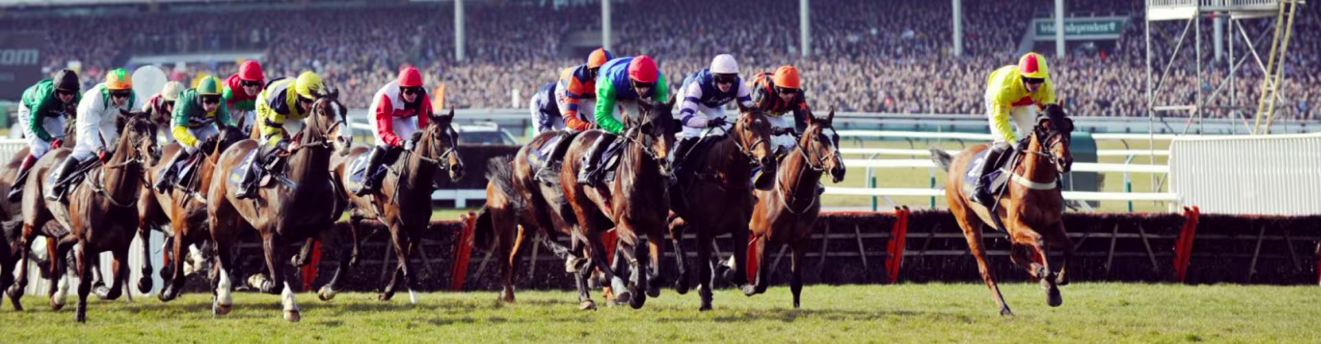 Cheltenham Festival