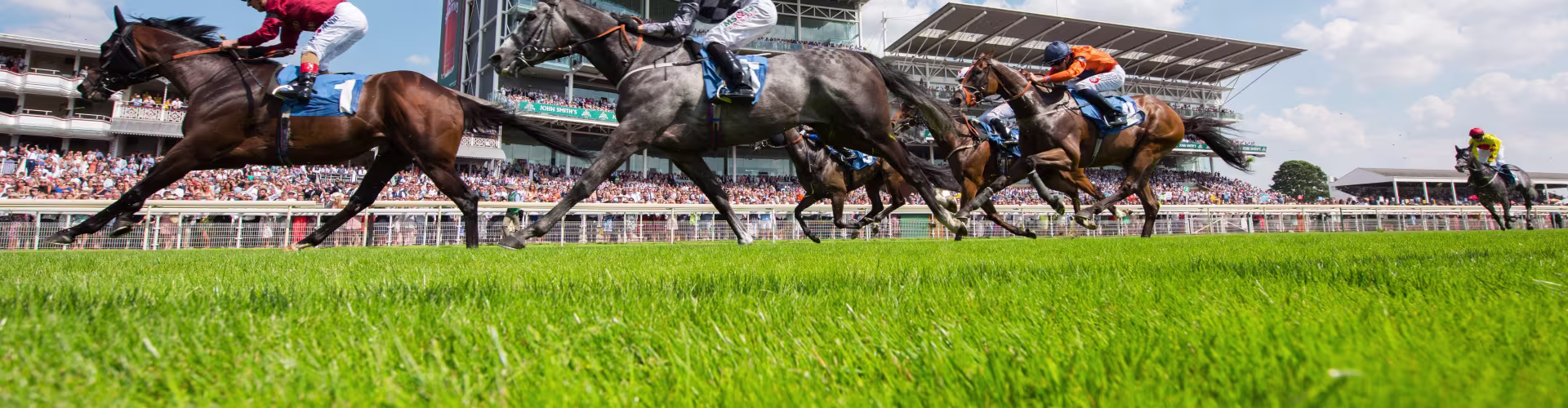 York Racecourse
