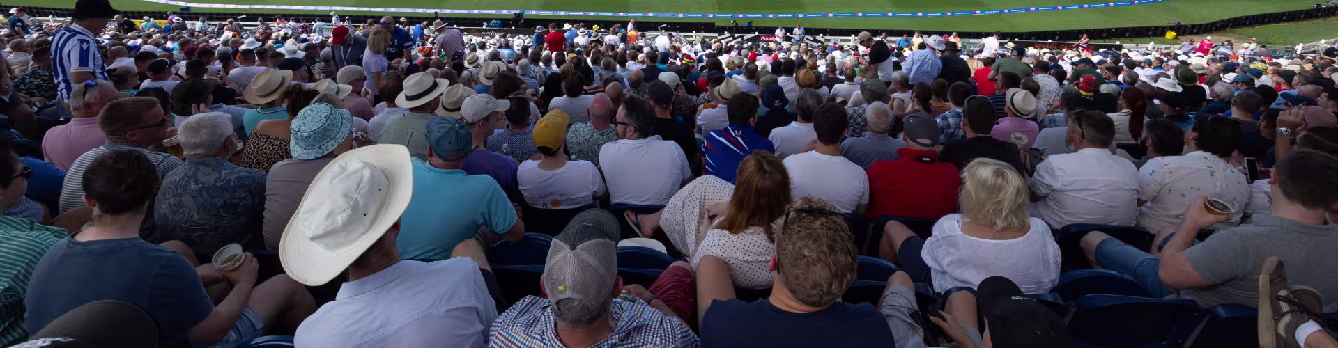 Cricket at Sophia Gardens