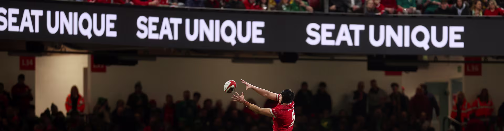 Wales Rugby Seat Unique Branding