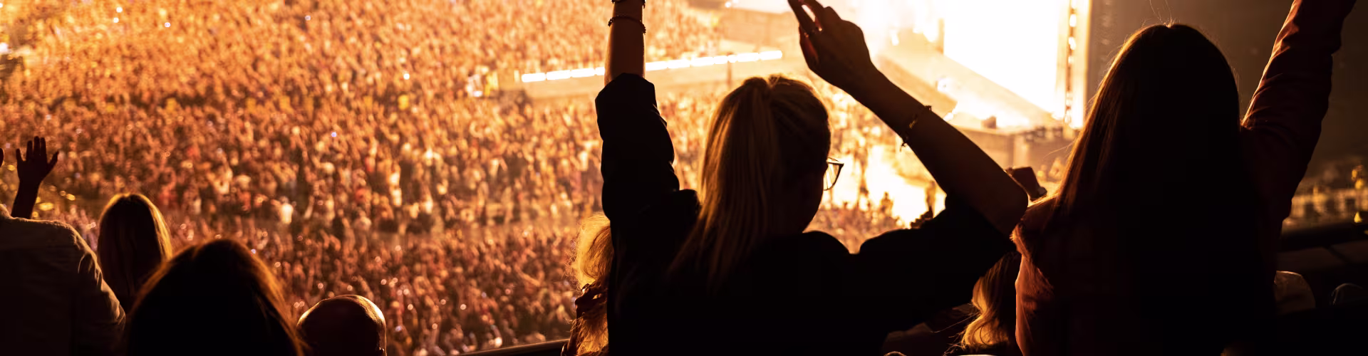 Fans Enjoying Show