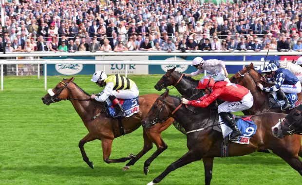 Dante Festival - Tattersalls Musidora Stakes