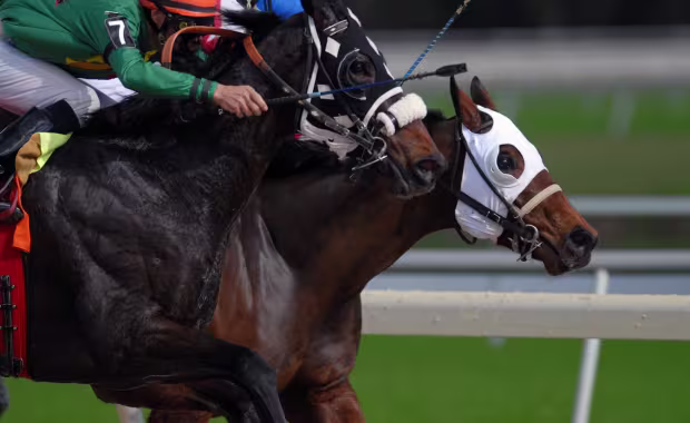 Kempton Park Racecourse