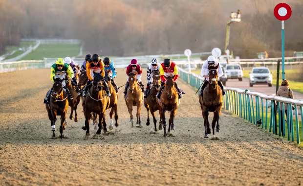 Lingfield Park Racecourse