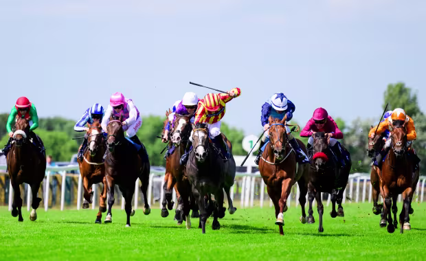 Great Yarmouth Racecourse