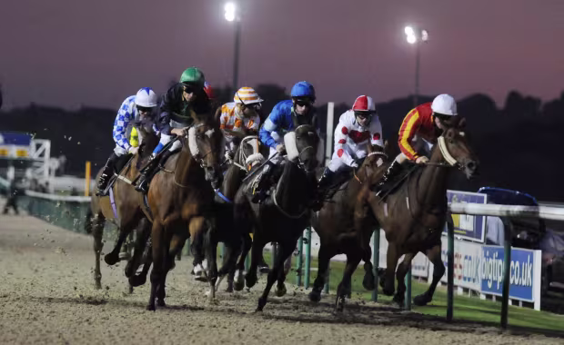 Wolverhampton Racecourse