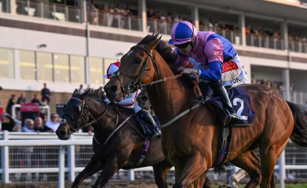 Royal Windsor Racecourse