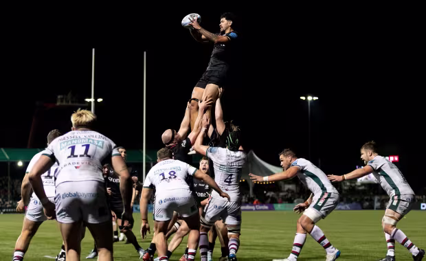 Saracens v Harlequins