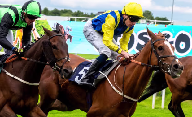 Sunday 13 September - St Leger Sunday Funday 2026