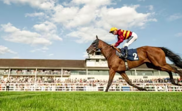 Tuesday 18 August - Summer Afternoon Racing