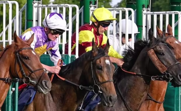 Saturday 20 June - Summer Saturday Series