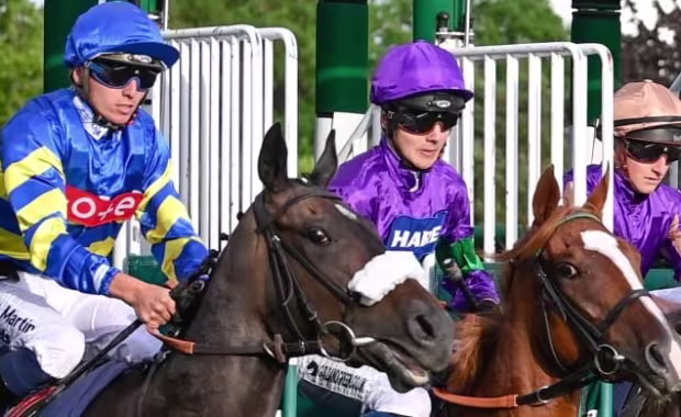 Saturday 2 May - Summer Saturday Series