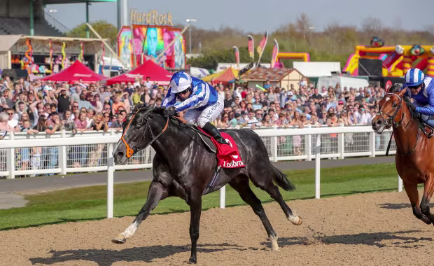 Friday 3 April - All Weather Finals Day