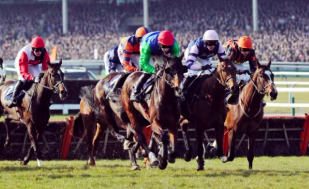 Cheltenham Festival Day 1: Champions Day