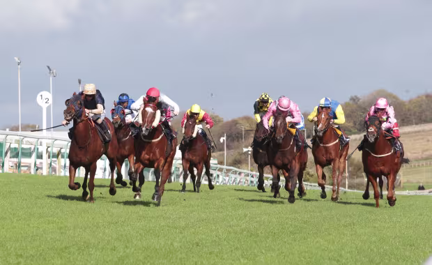 Brighton Racecourse