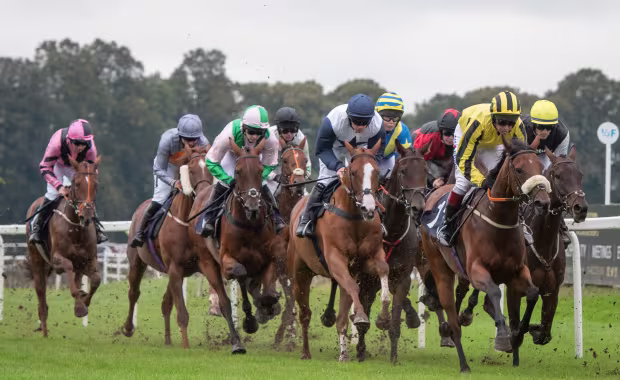 Worcester Racecourse