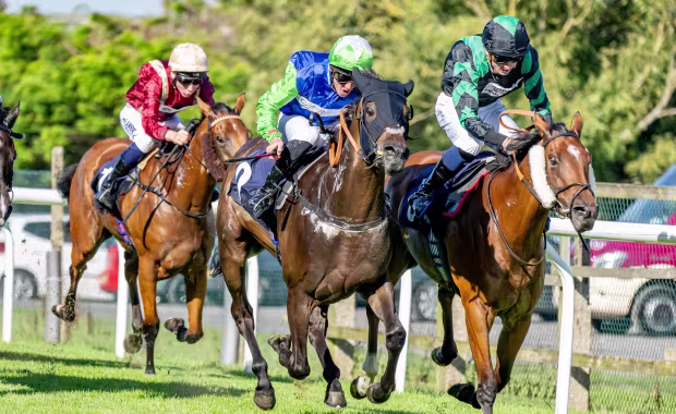 Thursday 16 October - Autumn Afternoon Racing