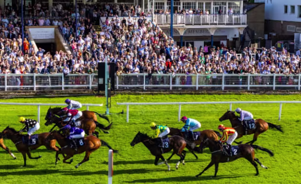 Monday 8 June - Irish Racenight