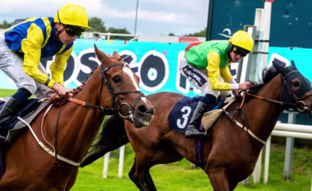 Friday 24 April - Spring Afternoon Racing