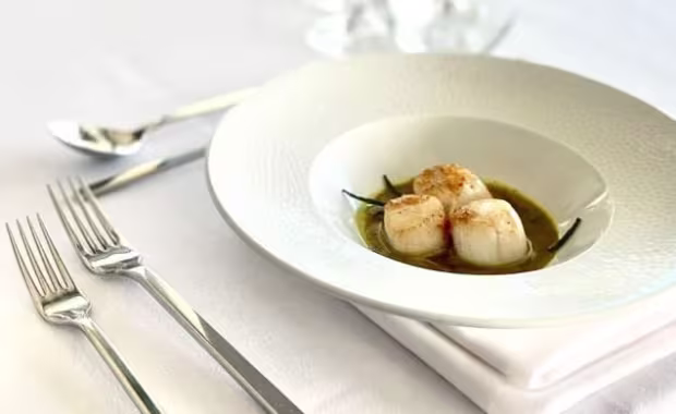 Saturday 24 January - Great Yorkshire Chase Ladies Day