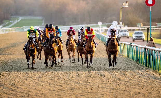 Lingfield Park Racecourse