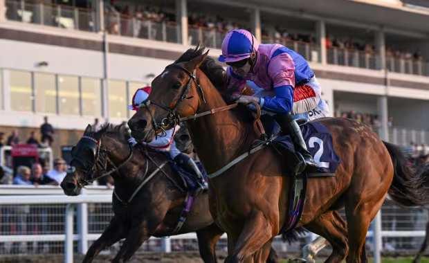 Royal Windsor Racecourse