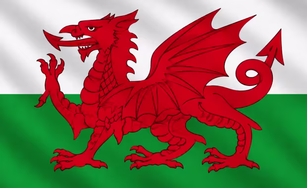 Wales Follow My Team UEFA EURO 2028™