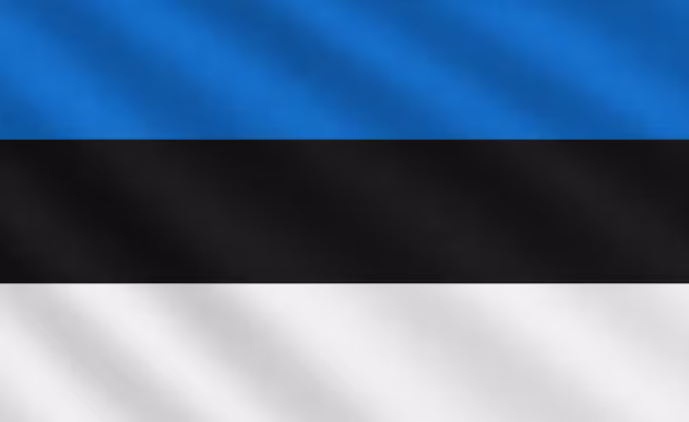 Estonia Follow My Team UEFA EURO 2028™