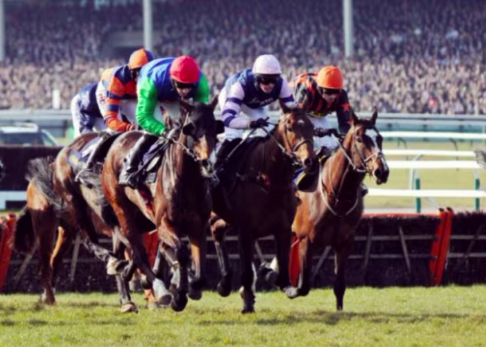 Cheltenham Festival hospitality