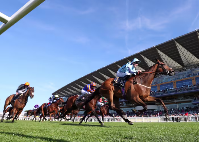 Horses race at Ascot