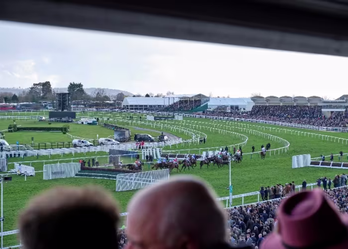 Grandstand views of Cheltenham Racecourse