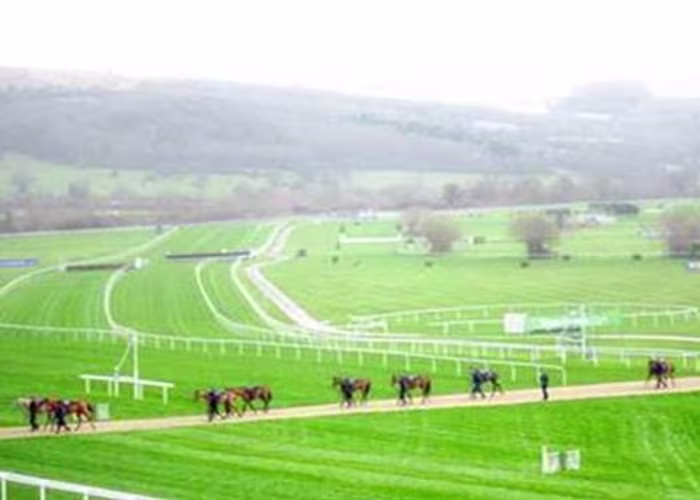 View of Cheltenham Racecourse 