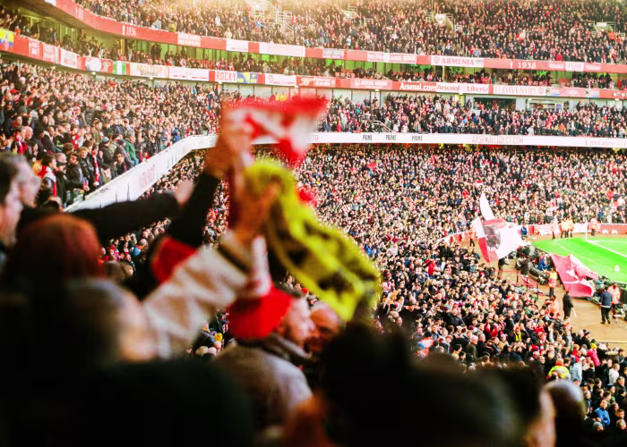 Fans celebrate