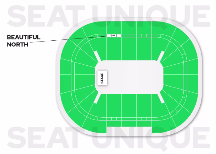 ARTIST AO Arena Manchester Beautiful North seating plan