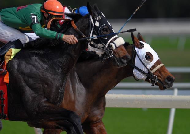 Two jockeys going head to head in a horse race