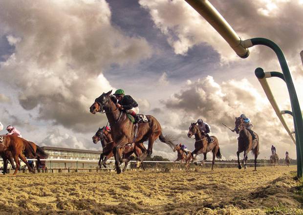 All Weather Lingfield Racecourse