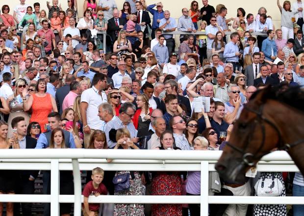 Crowd at Lingfield Park