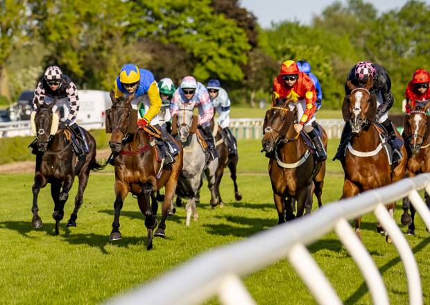 Horse Racing at Uttoxeter