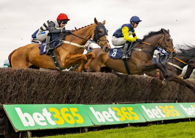 Horse Jumping over Fences