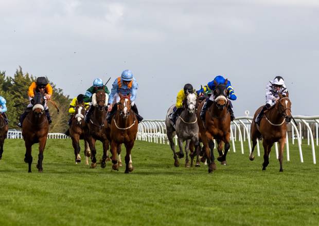 Horse Racing at Bath Racecourse