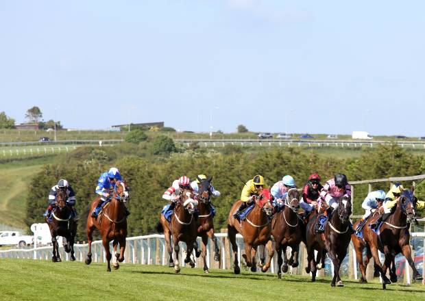 Horse Racing at Brighton Racecourse 