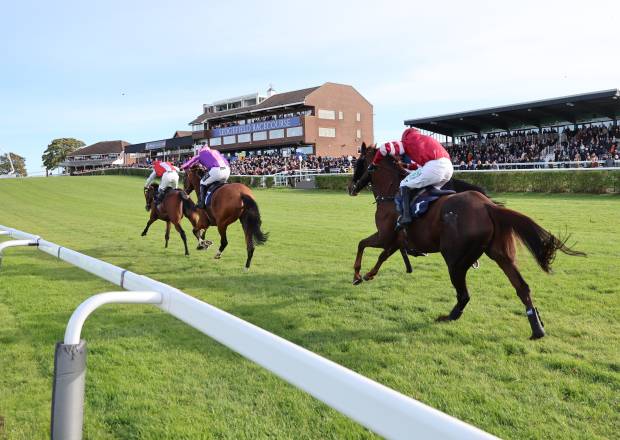 Horse Racing at Sedgefield Racecourse